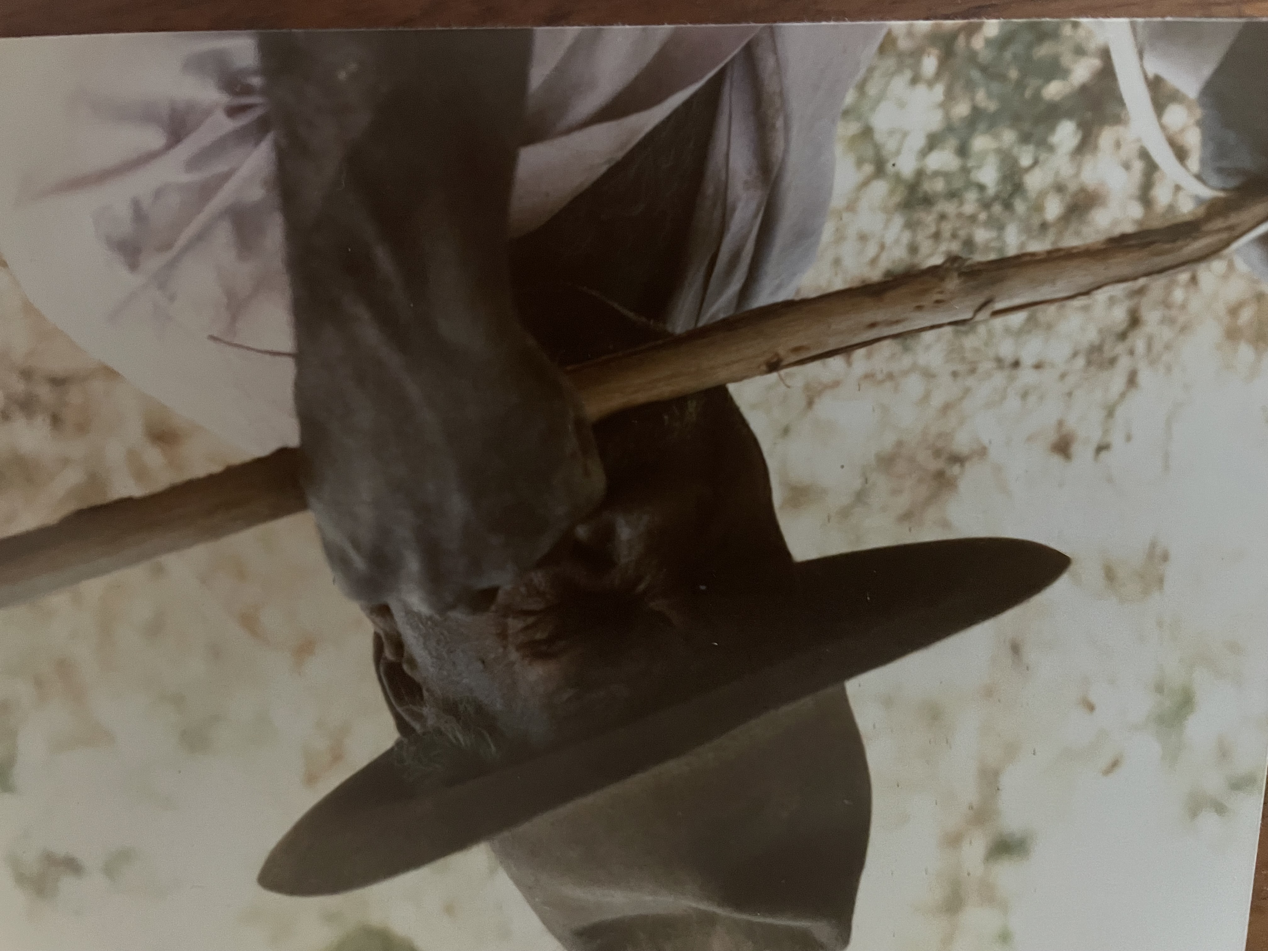 Dinny McDinny Making Spear, Aboriginal Elder Yanyuwa people